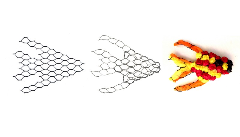 Fish-evolution-2-2